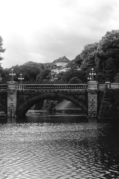 Free Black and white photo of a historic stone bridge over water, framed by trees. Stock Photo
