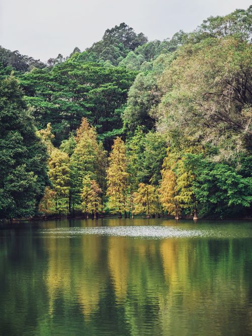 Free Tranquil lake with vibrant forest reflection in serene natural setting. Stock Photo