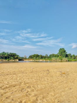 Serene riverbank surrounded by lush green trees under a clear blue sky.