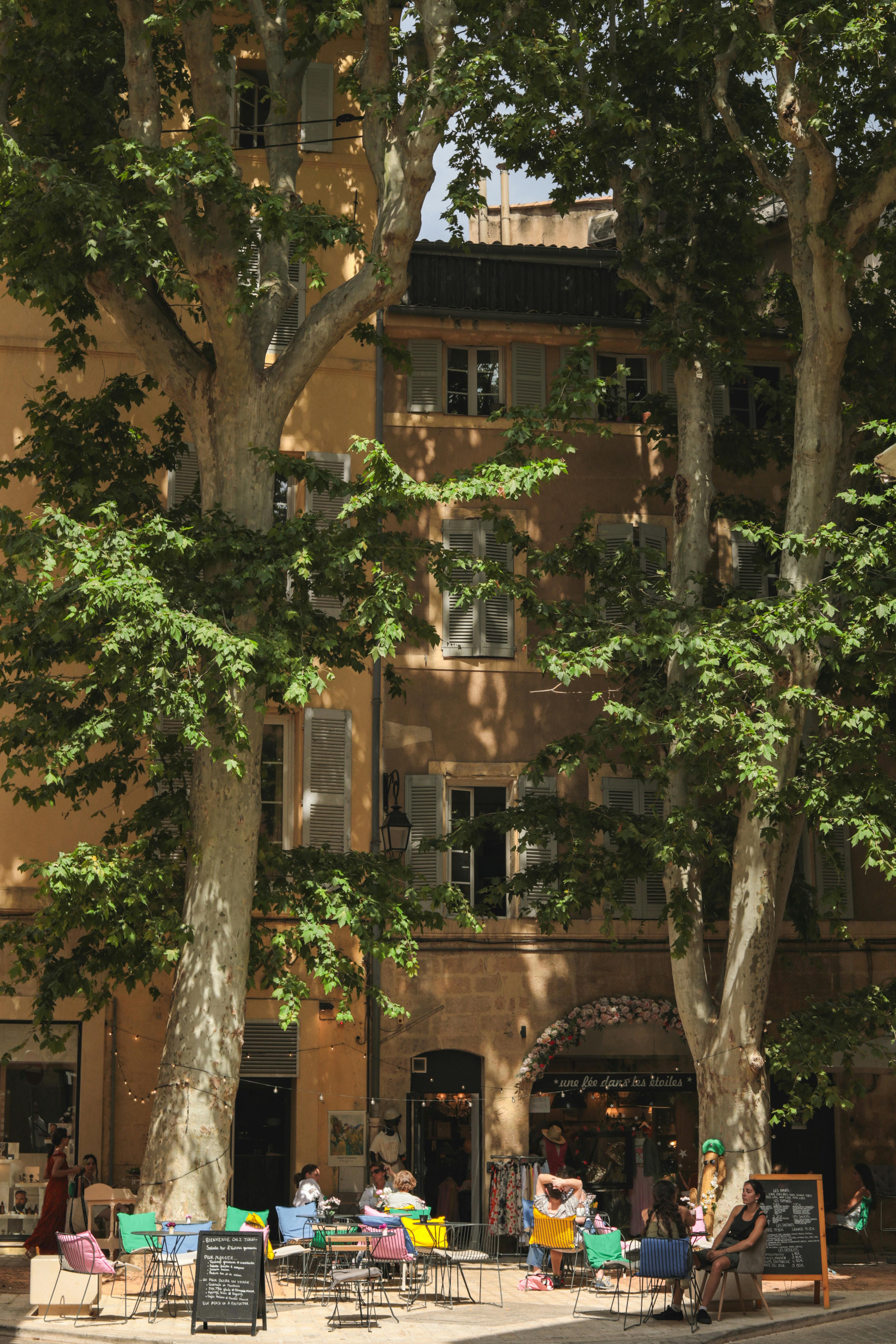 Sunny day at a colorful outdoor café in Aix-en-Provence, France, with trees and historic architecture.