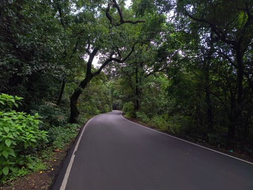 Free A winding road surrounded by dense forest greenery under a cloudy sky. Stock Photo