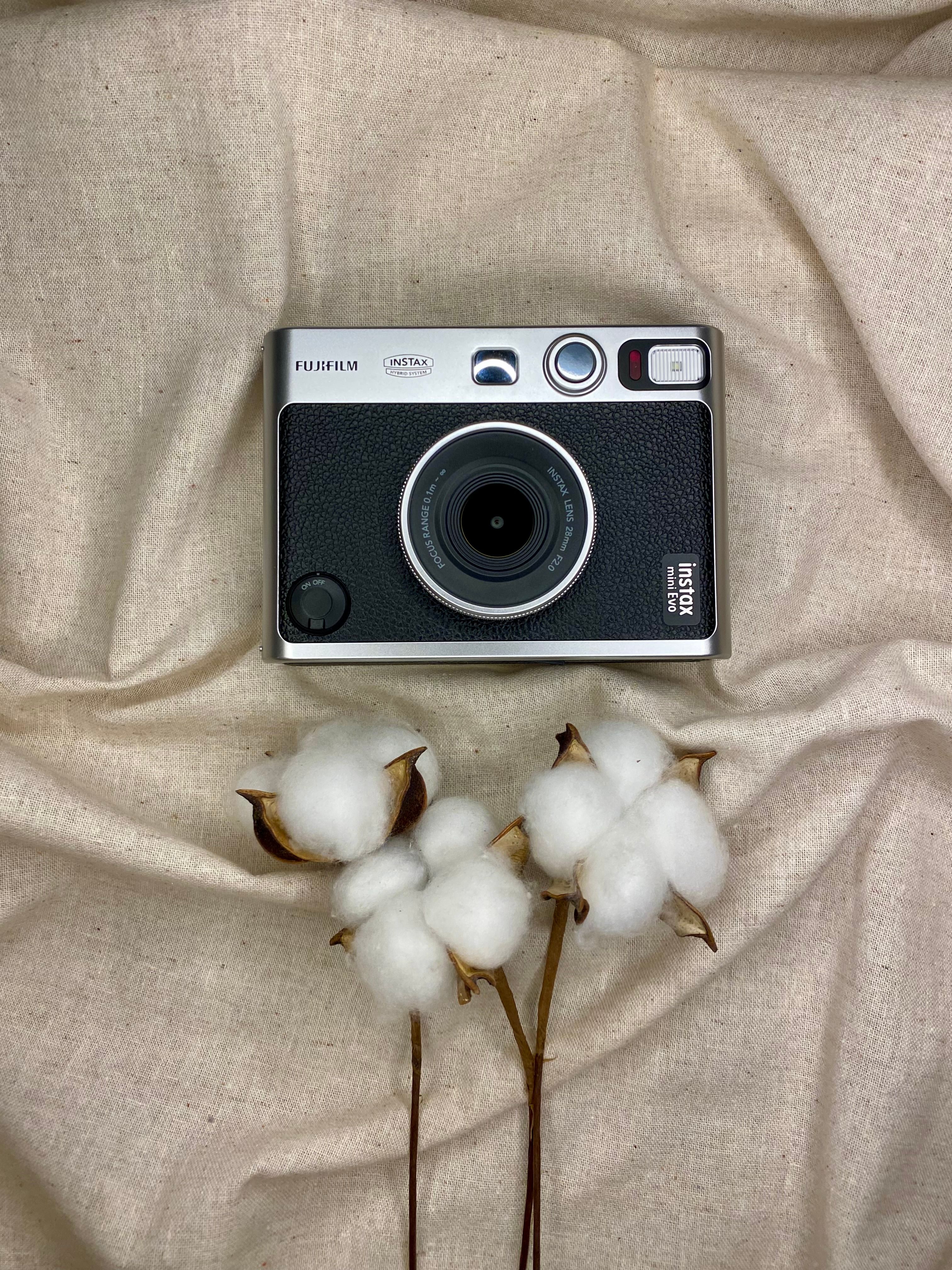 Retro Camera with Cotton on Beige Fabric · Free Stock Photo