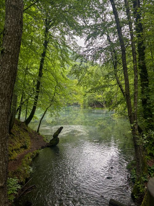 Free Tranquil forest lake scene with vibrant greenery and calm water reflections. Stock Photo