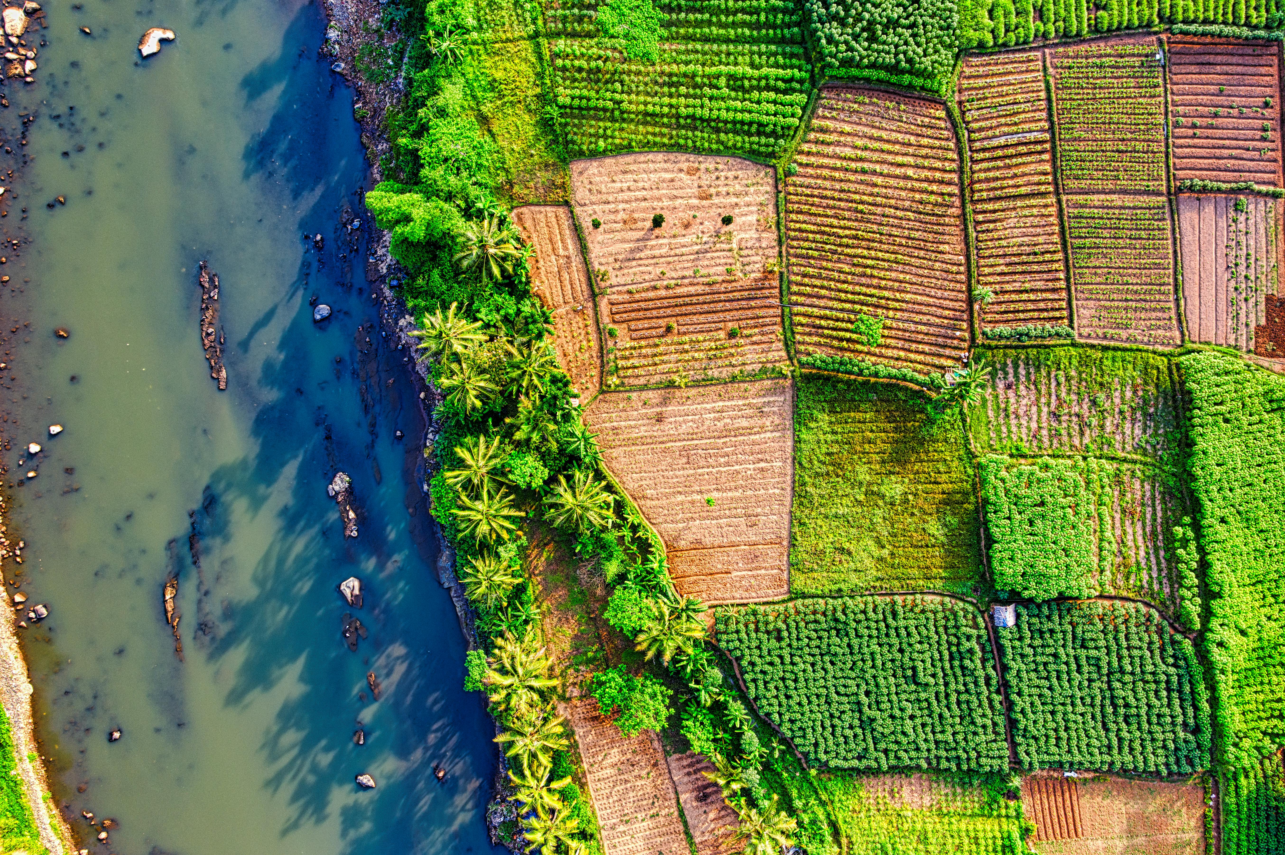 一张令人惊叹的航拍照片，展现了印度尼西亚西爪哇岛充满活力的农田与河流