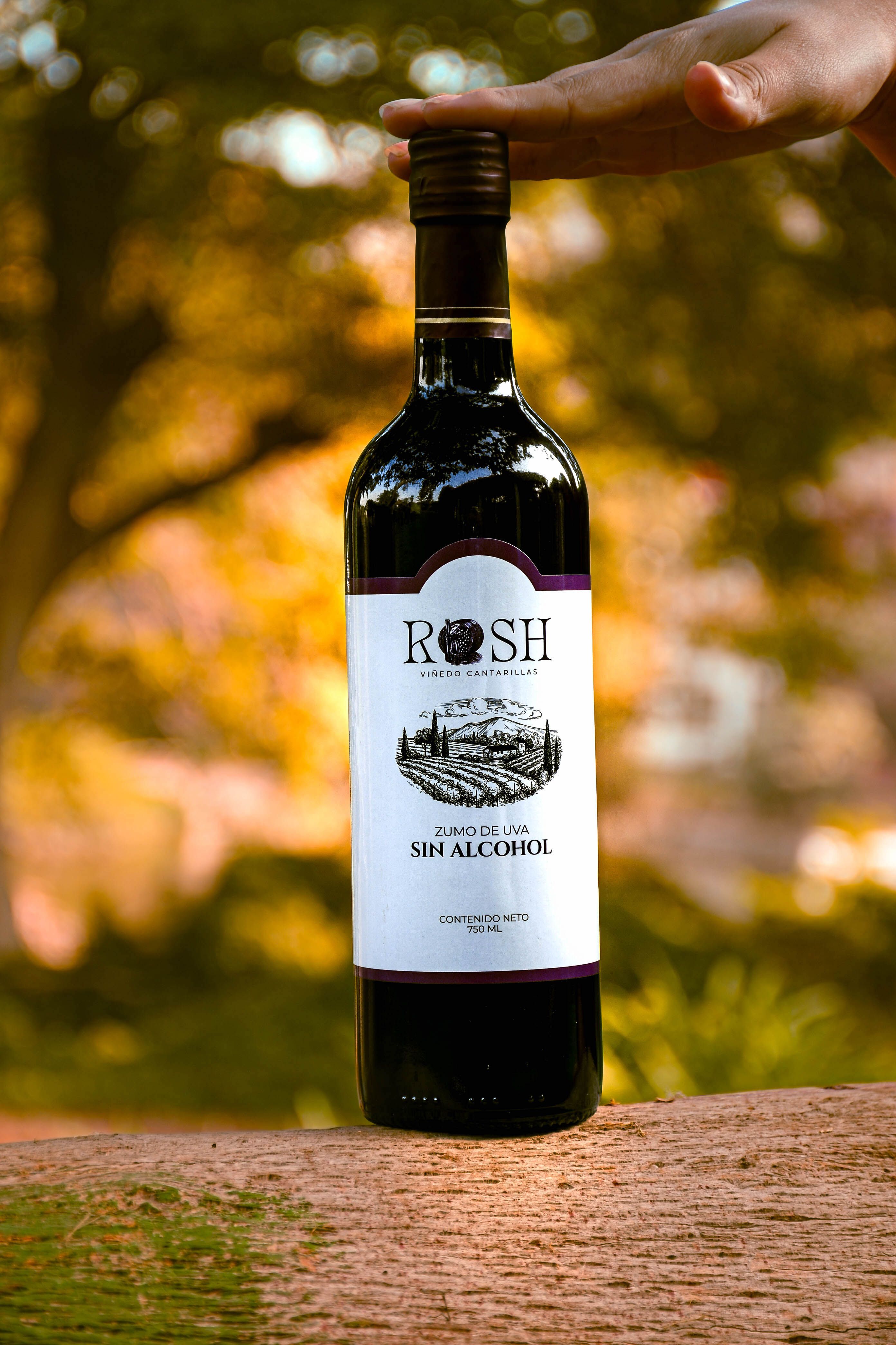 Bottle of ROSH non-alcoholic wine held outdoors with blurred background.