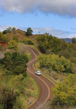 Photo by Vasilis Karkalas Experience the breathtaking curves of a scenic road in Waimea, perfect for road trips and exploration.