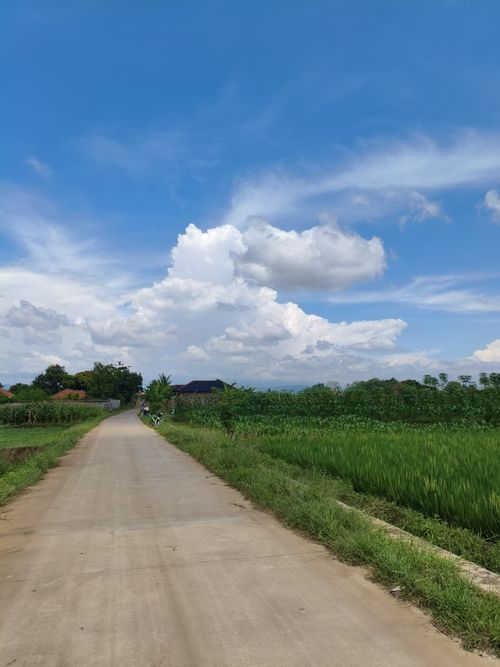 Free Beautiful rural road in Indonesia flanked by lush green fields under a vibrant blue sky. Stock Photo