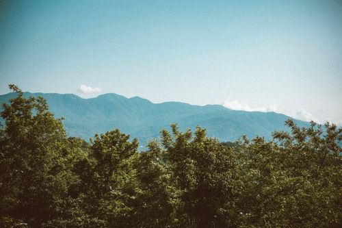 Free A serene view of lush greenery against a mountain backdrop under a clear blue sky. Stock Photo