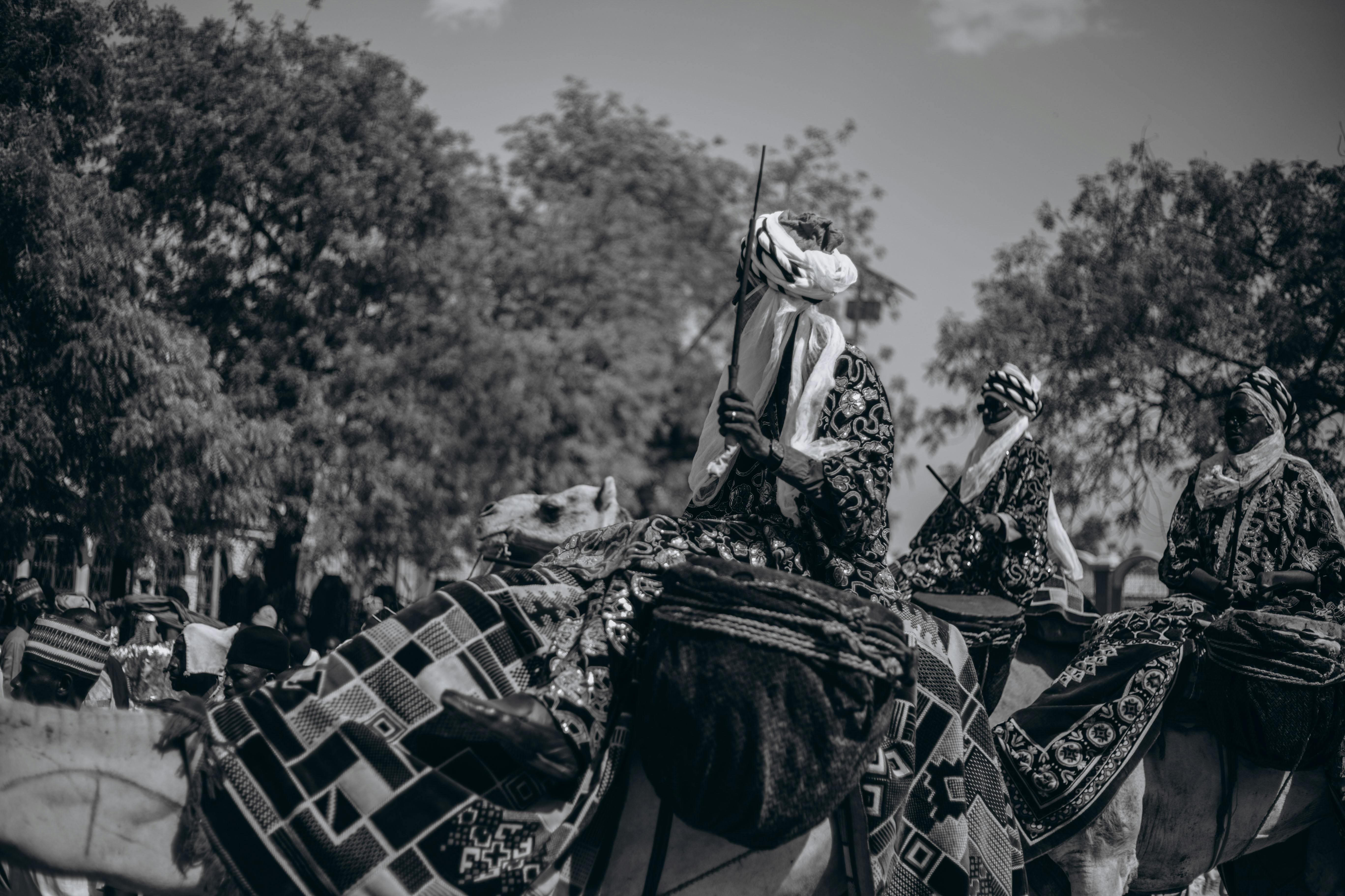 Camel+Toe+Bikinis Photos, Download The BEST Free Camel+Toe+Bikinis