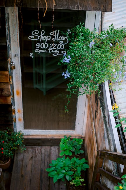 Performance and Versatility of the Philips Daily Collection HR1600/00