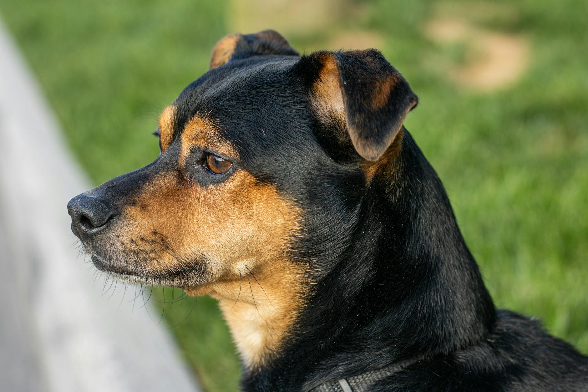 Already Building a Family in Virginia? Expert Guidance on Adoption and Family Law