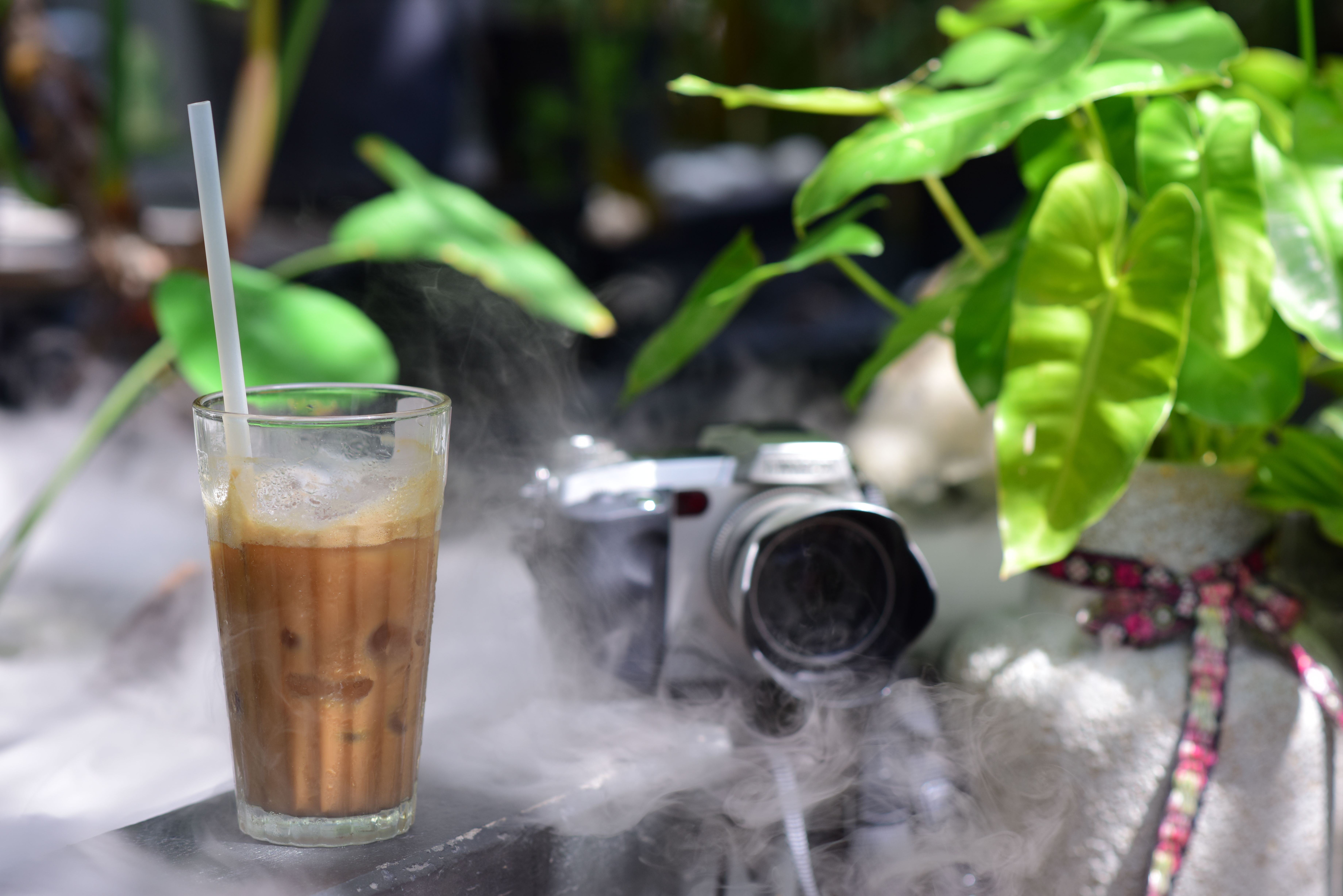 iced-coffee-with-camera-and-lush-plants-free-stock-photo