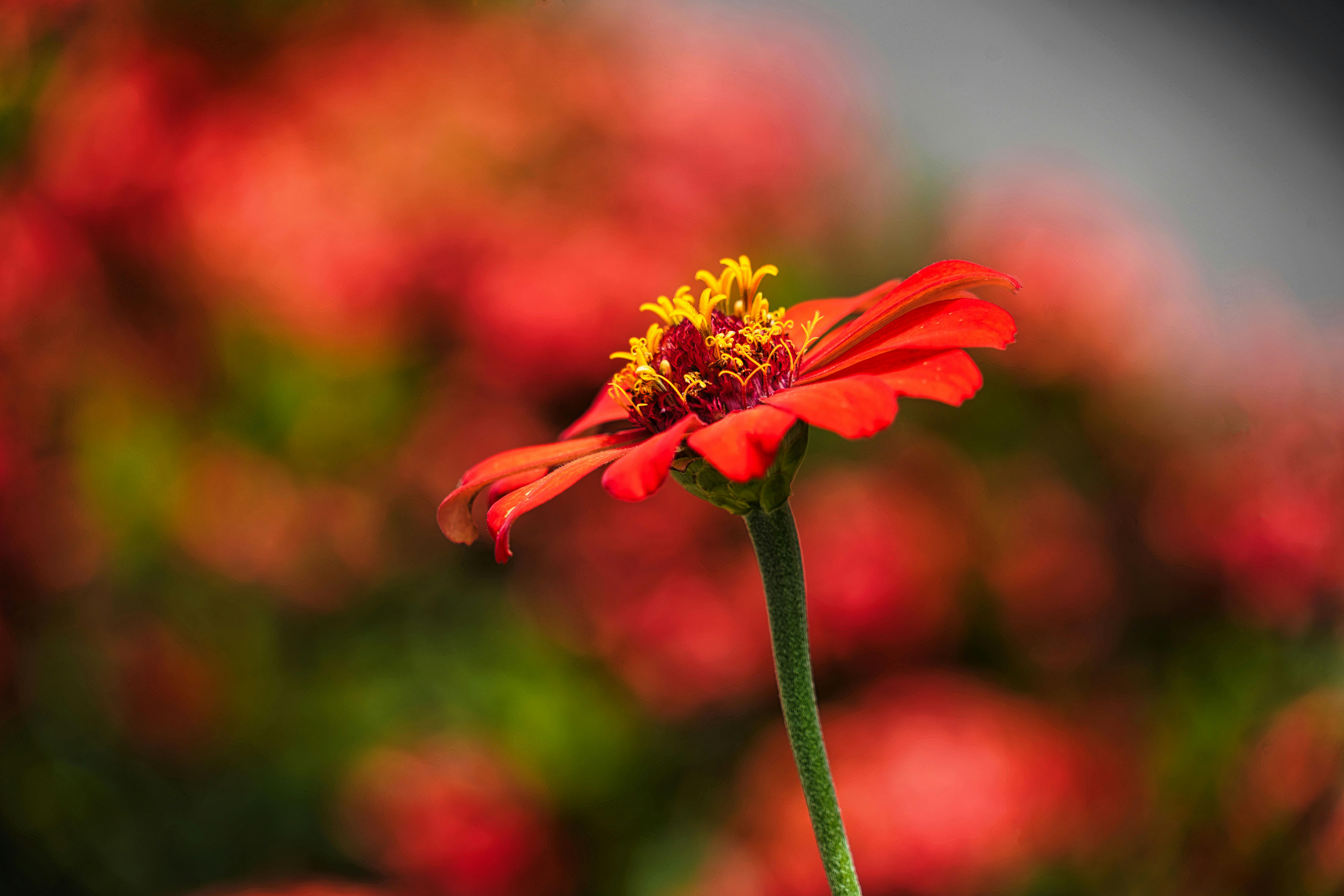 Understanding Non-Disclosure Agreements (NDAs)