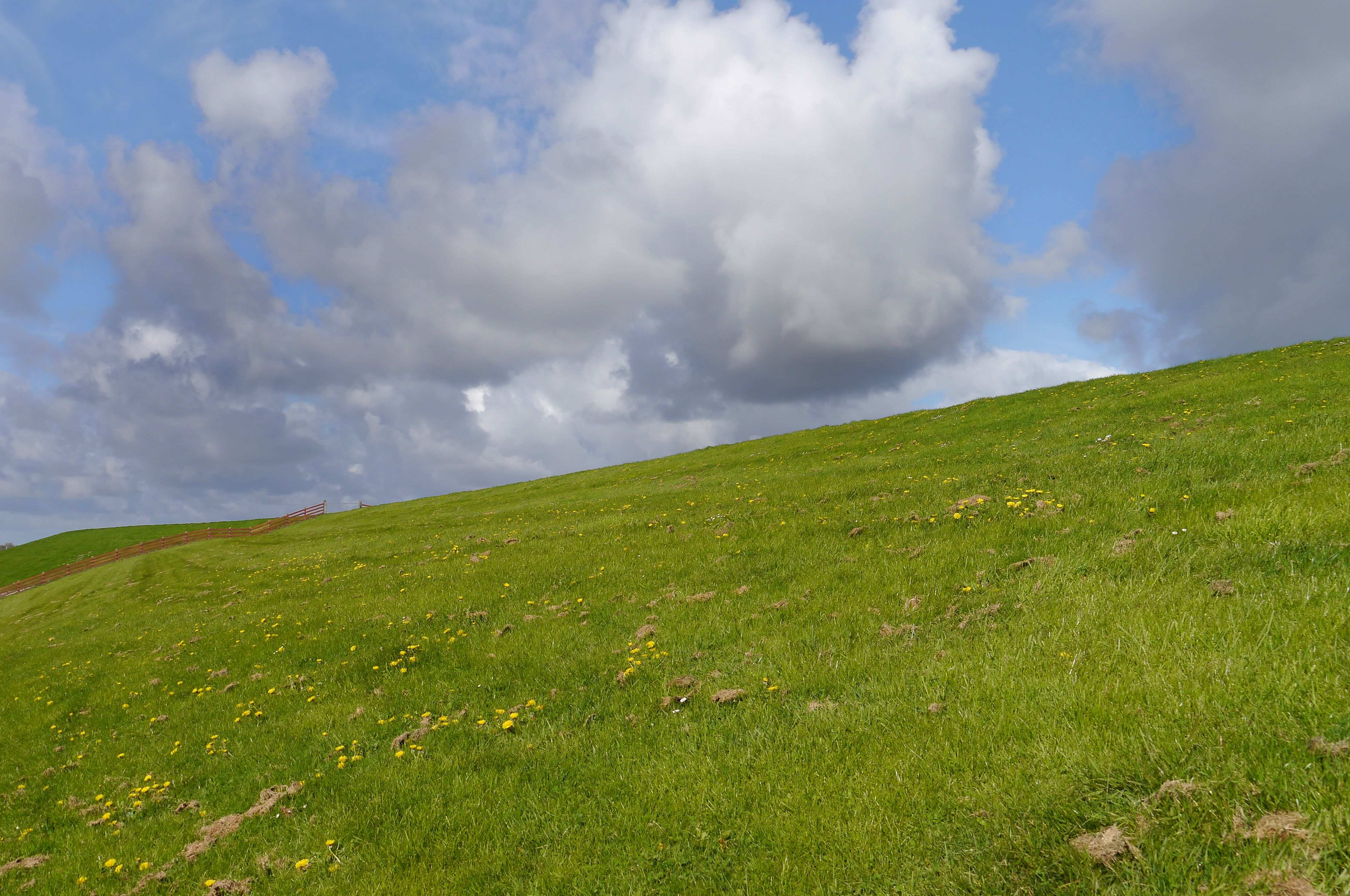Lush Green Hill with Dramatic Clouds in Friesland · Free Stock Photo