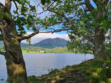 Photo by Martyn Sanders