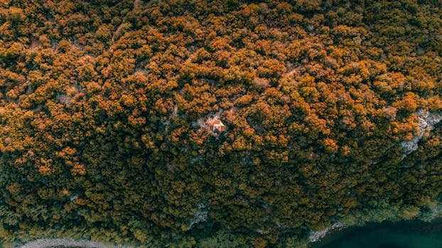 Photo by Ahmet Arıkaya