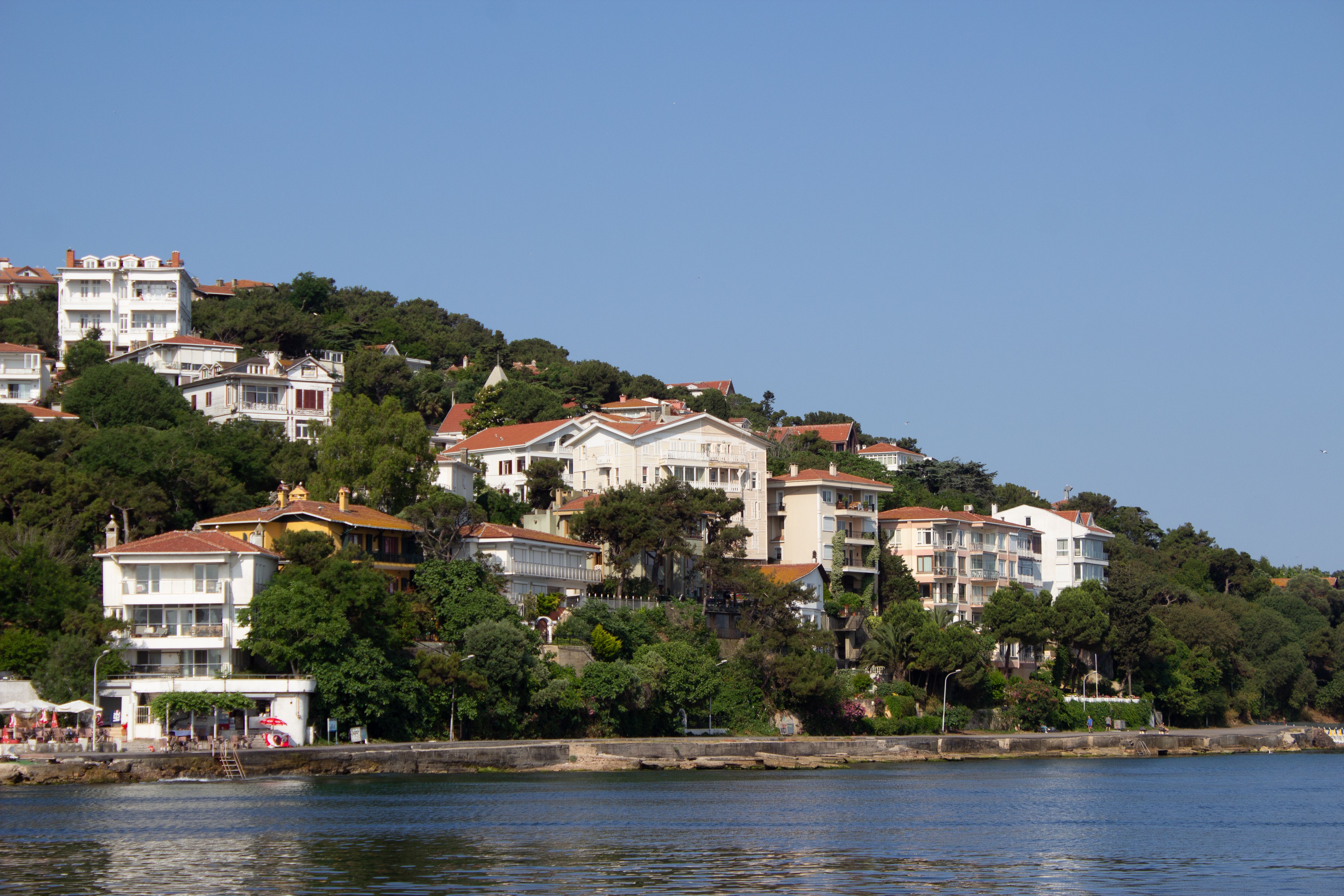 Scenic Coastal Homes Overlooking the Sea · Free Stock Photo
