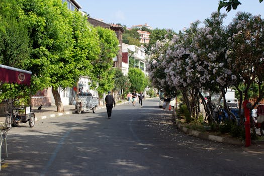 Photo by Fatih Altuntaş