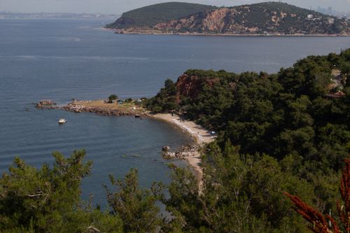 Free Aerial view of a tranquil rocky beach surrounded by lush greenery and blue waters. Stock Photo