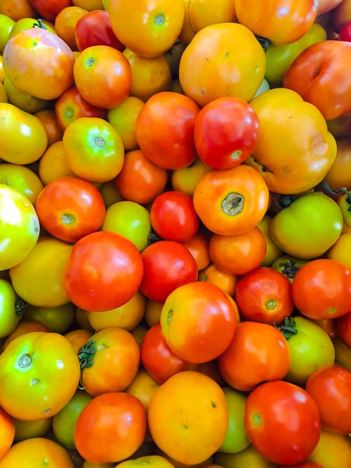 Free Colorful assortment of fresh tomatoes on display, highlighting a vibrant mix of red, orange, and green shades. Stock Photo