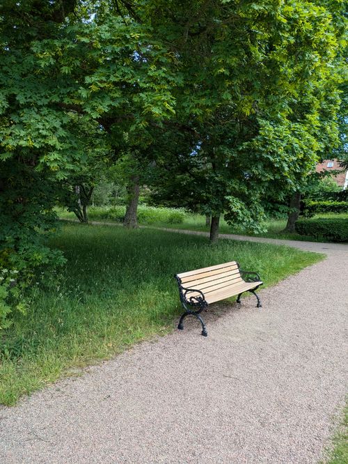 Free Peaceful park bench along a tree-lined path on a summer day. Stock Photo