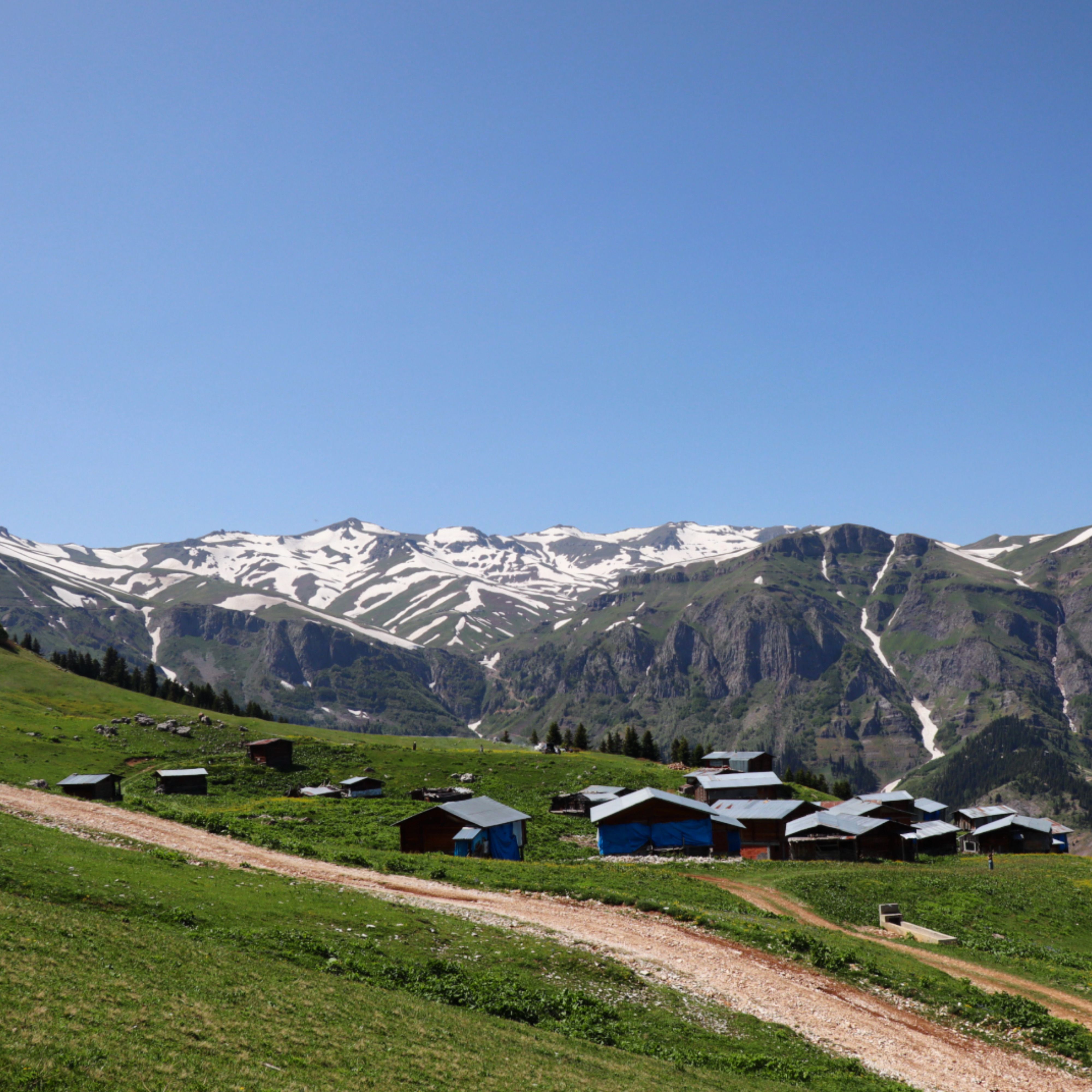 Charming mountain village in Çukur, Artvin with stunning views of snow-capped peaks.