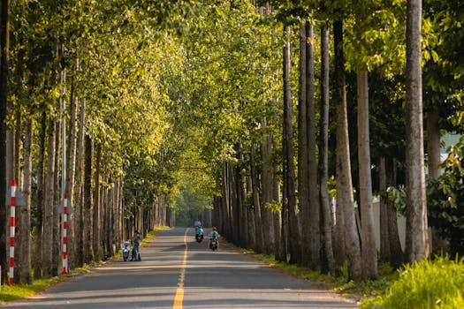 Photo by 🇻🇳Trường Nguyễn Thanh 🇻🇳