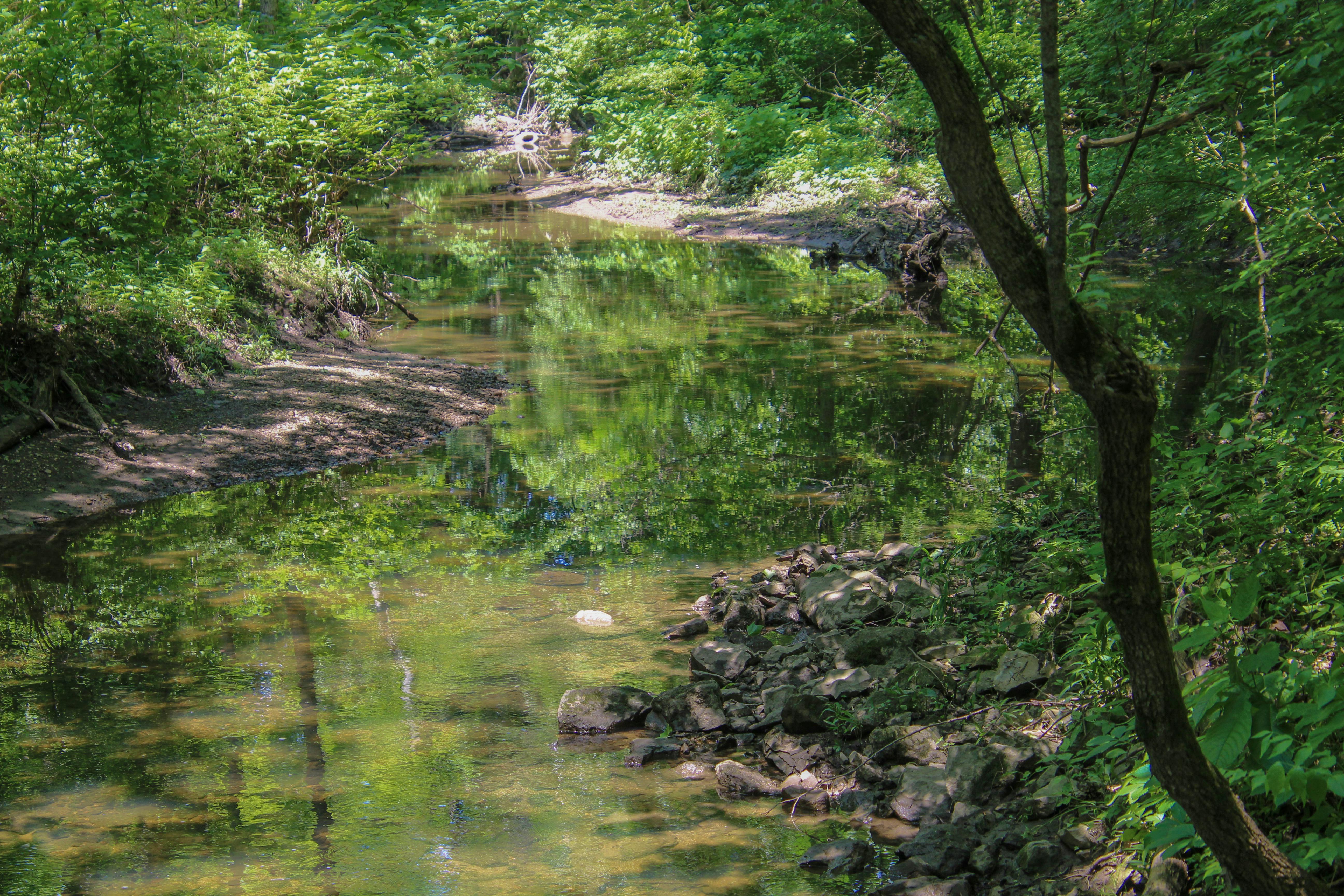 DuPage Forest Preserve executive director leaving for city manager job in Florida — Photo by Karen F on Pexels