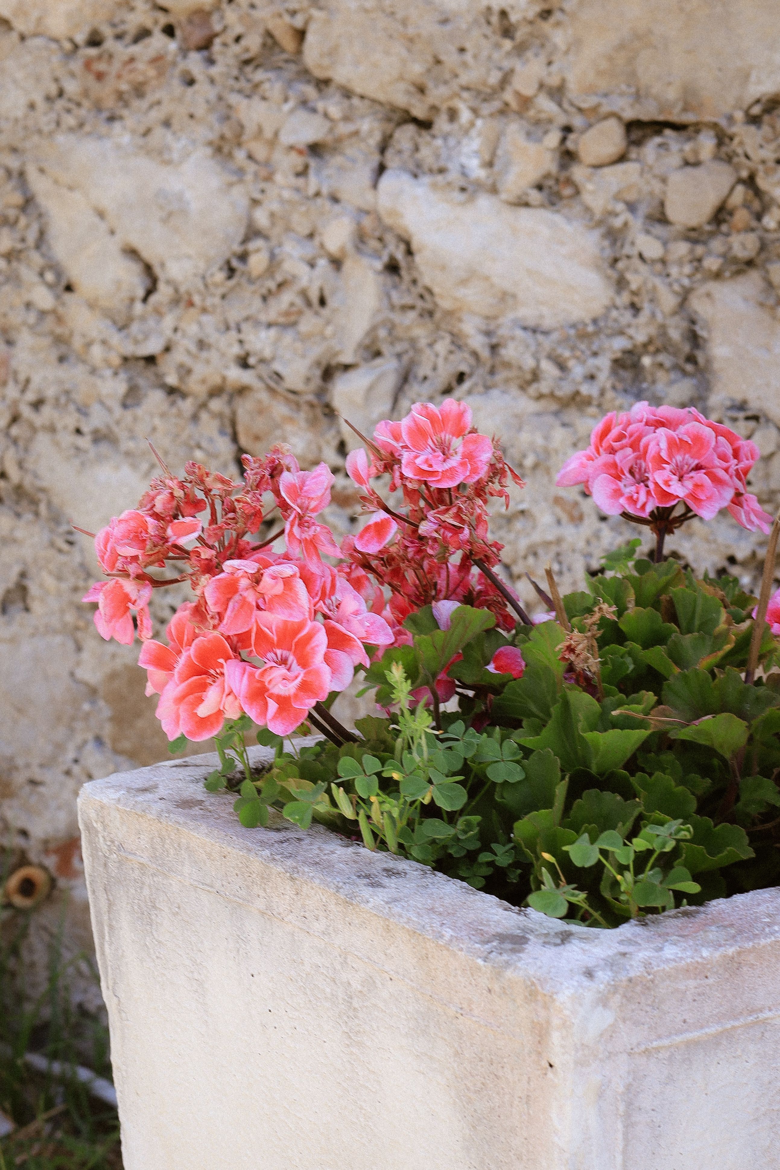 Gratis Immagine gratuita di ambiente esterno, arredamento da patio, bellezza naturale Foto a disposizione
