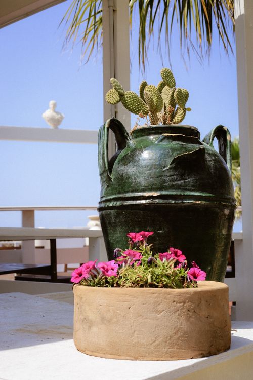 Free Decorative outdoor setting with a large pottery vase holding a cactus and bright pink flowers. Stock Photo