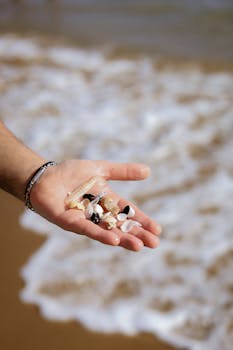 Close-up of hand holding assorted seashells by the beach with waves in the background.