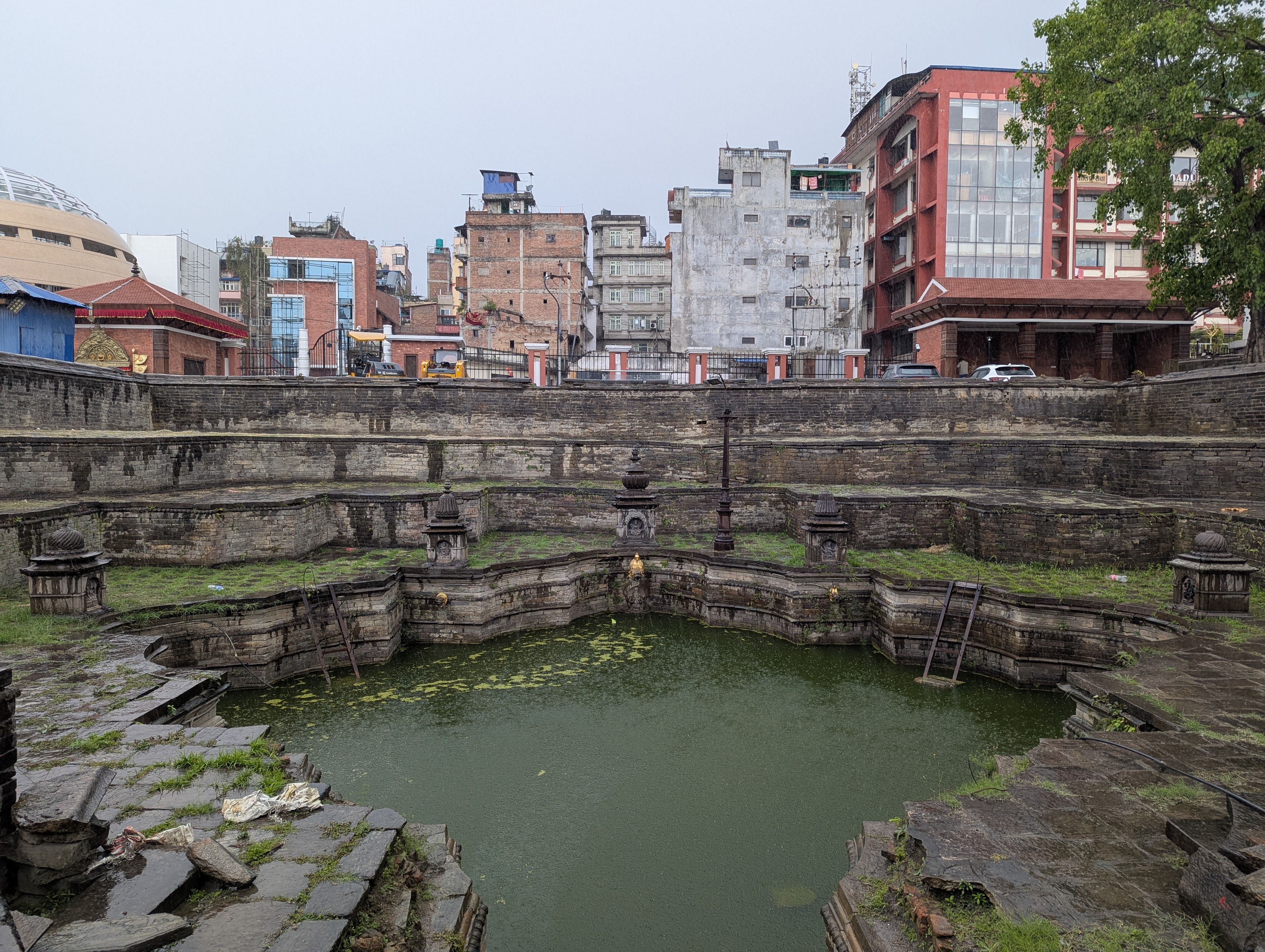 kala-azar