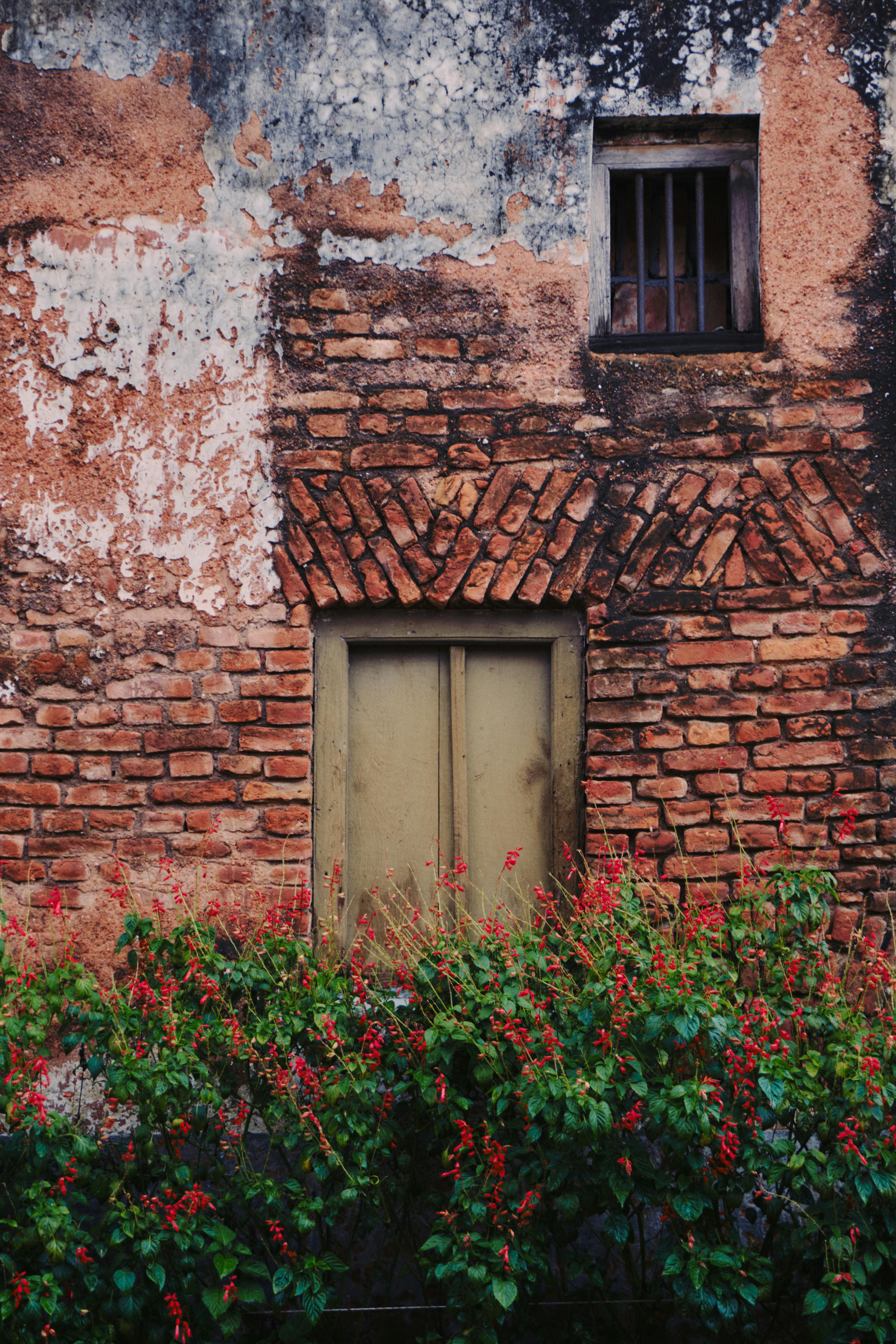 Rustic brick wall with an old window and vibrant flowers in Sonargaon, Bangladesh.