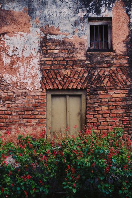 Rustic brick wall with an old window and vibrant flowers in Sonargaon, Bangladesh.