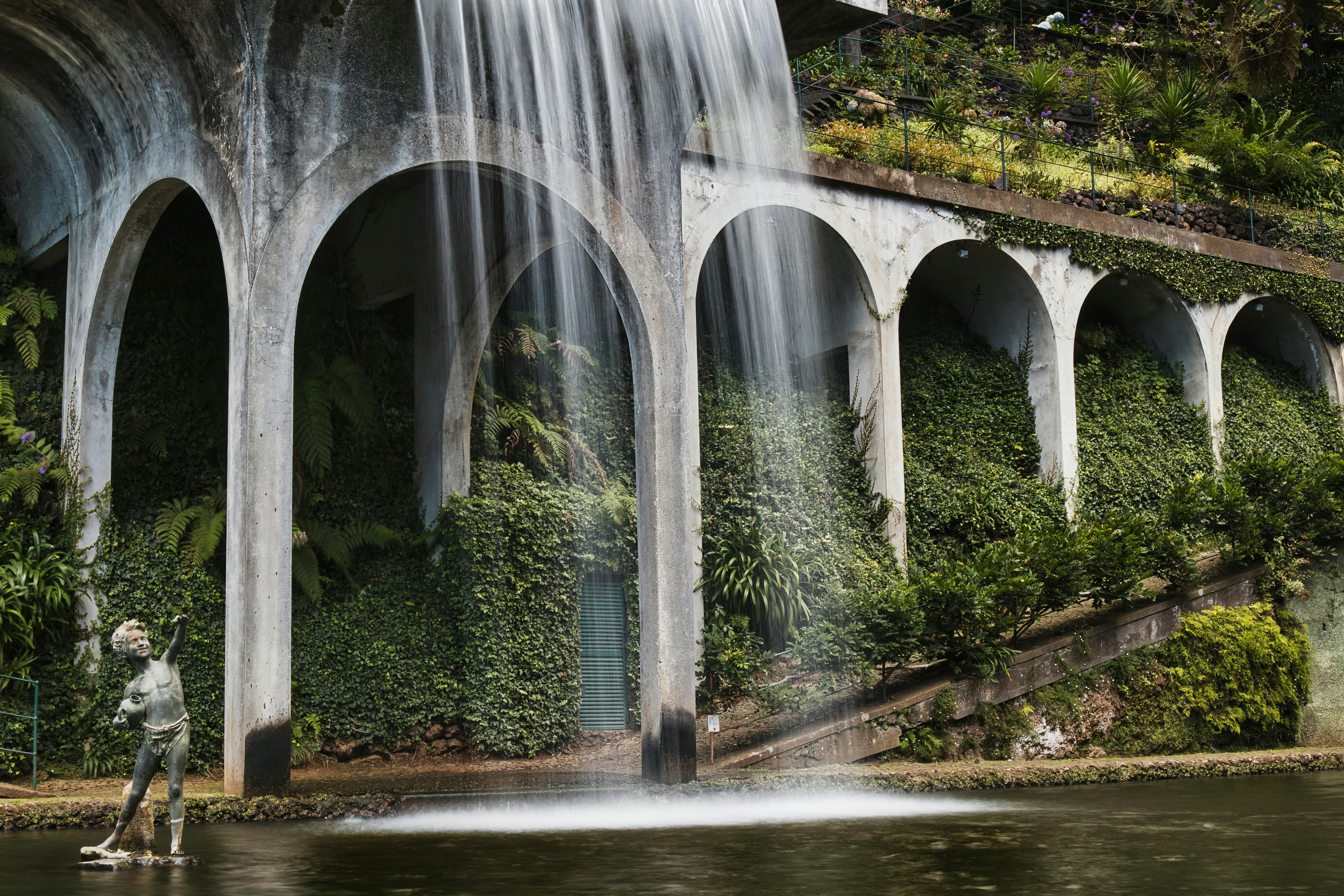 Unveiling the Secret to a Magical Garden Transformation