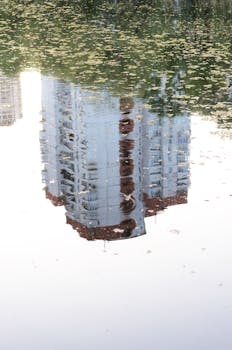 Puran Talab lake in Madhya Pradesh shows vibrant green growth after a successful environmental project.  A green initiative's positive impact.