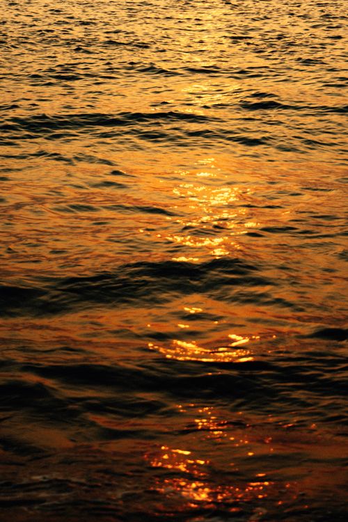 Free Capture of a golden sunset reflecting on the ocean surface, creating a serene and warm ambiance. Stock Photo