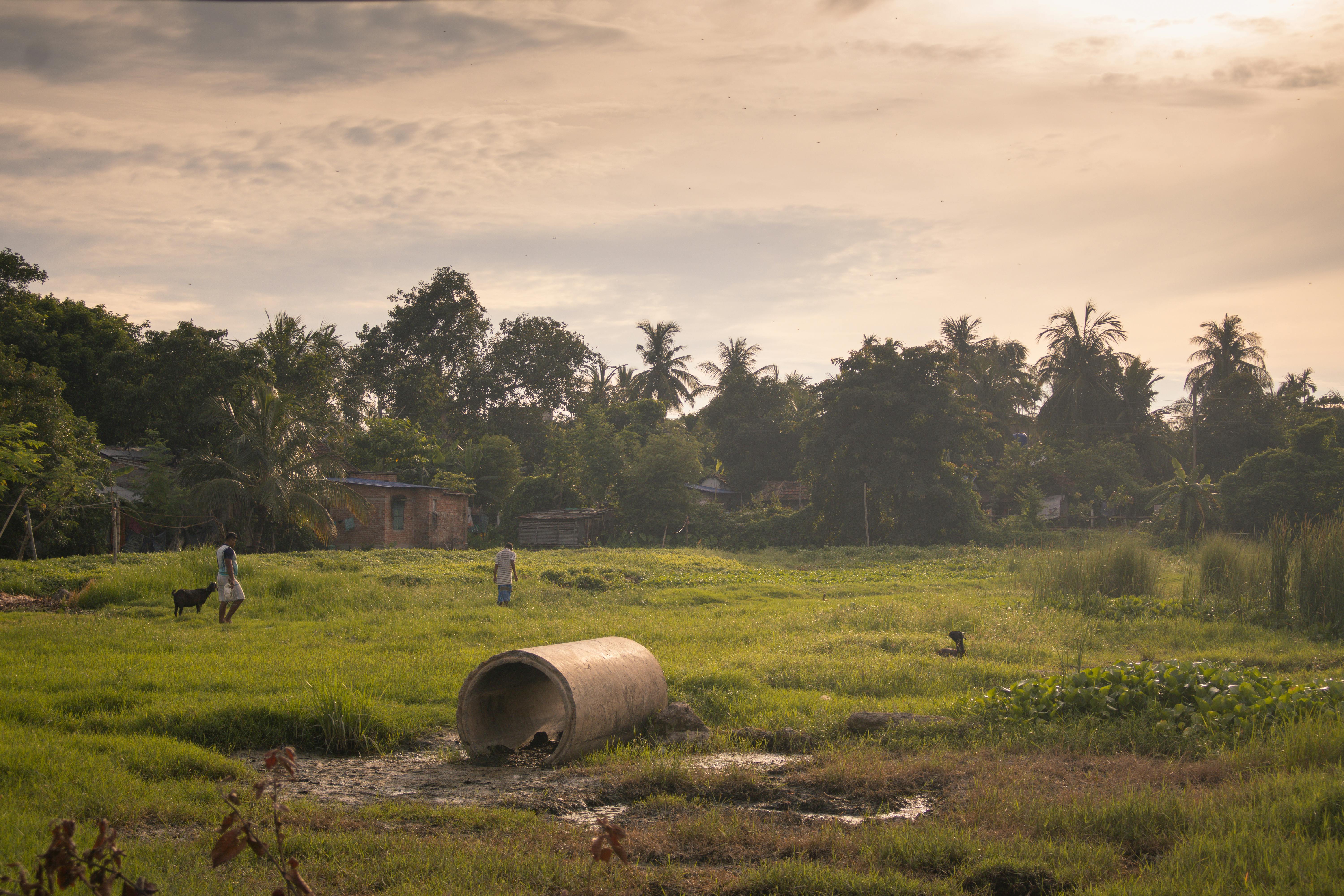 Animal Rescue in West Bengal: Unsung Heroes Bridging Gaps from Kolkata to Rural Villages