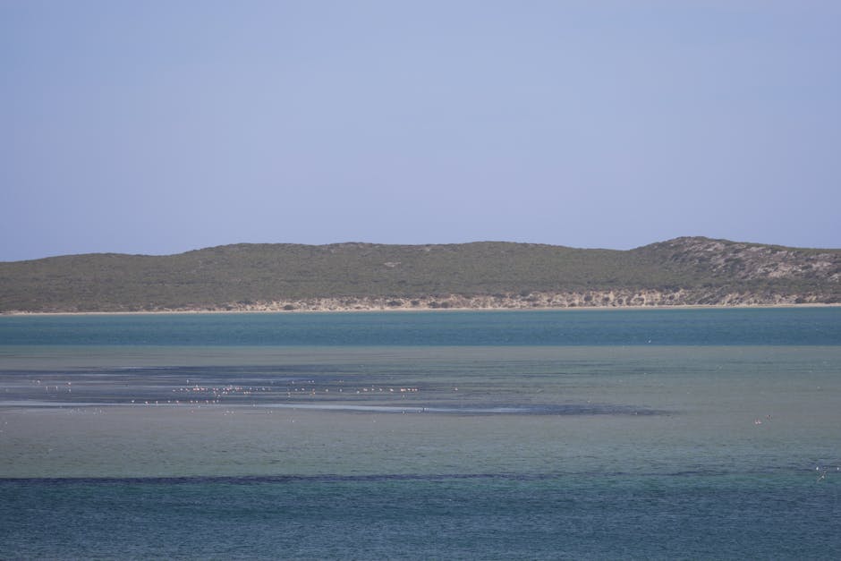 Understanding Ocean Acidification and Its Impact on Marine Biodiversity Loss