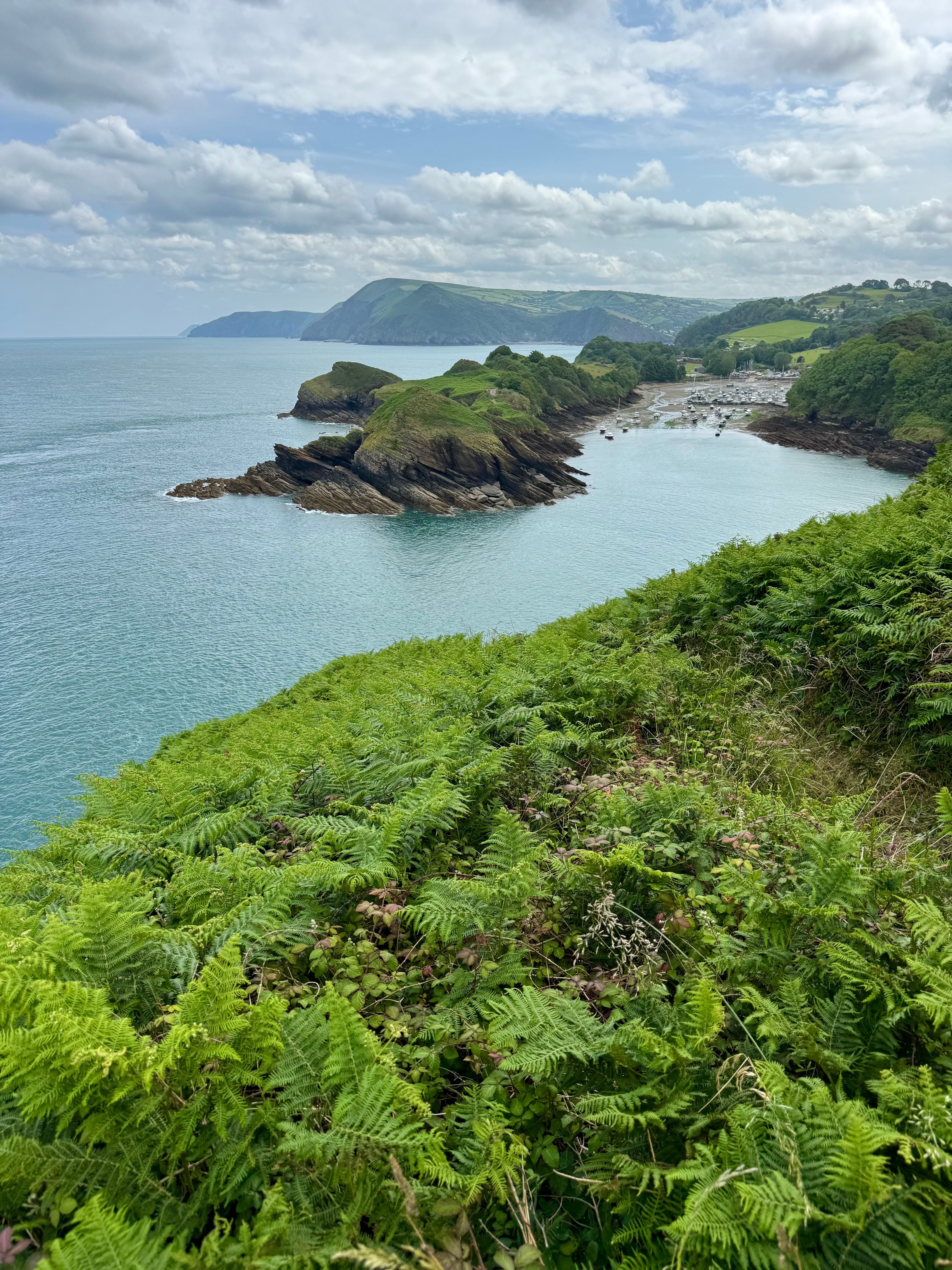 Scenic Coastal View with Lush Greenery · Free Stock Photo