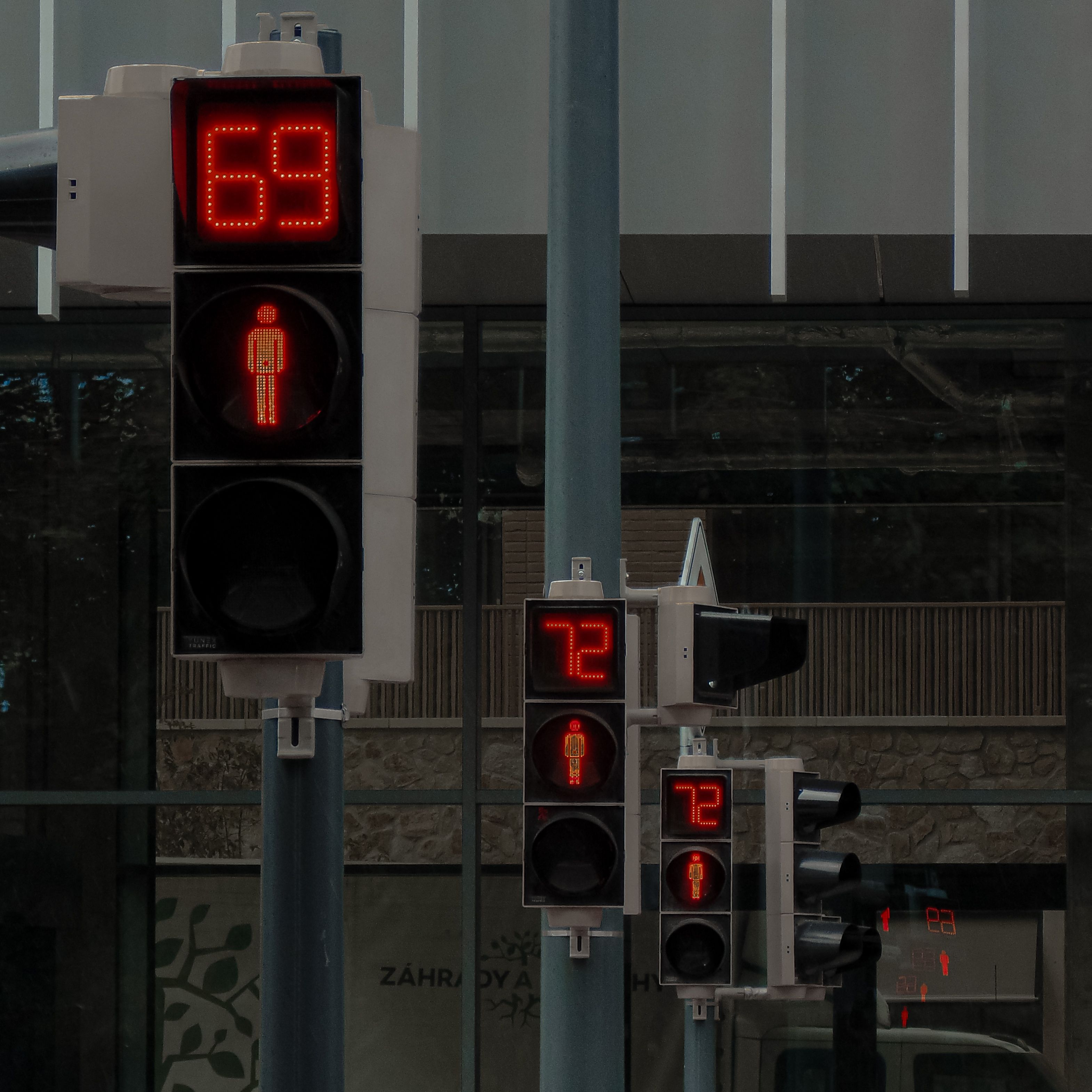 Kostnadsfria Stadsmiljö med flera trafikljus med digitala nedräkningsdisplayer och fotgängarsymboler. Stock foto