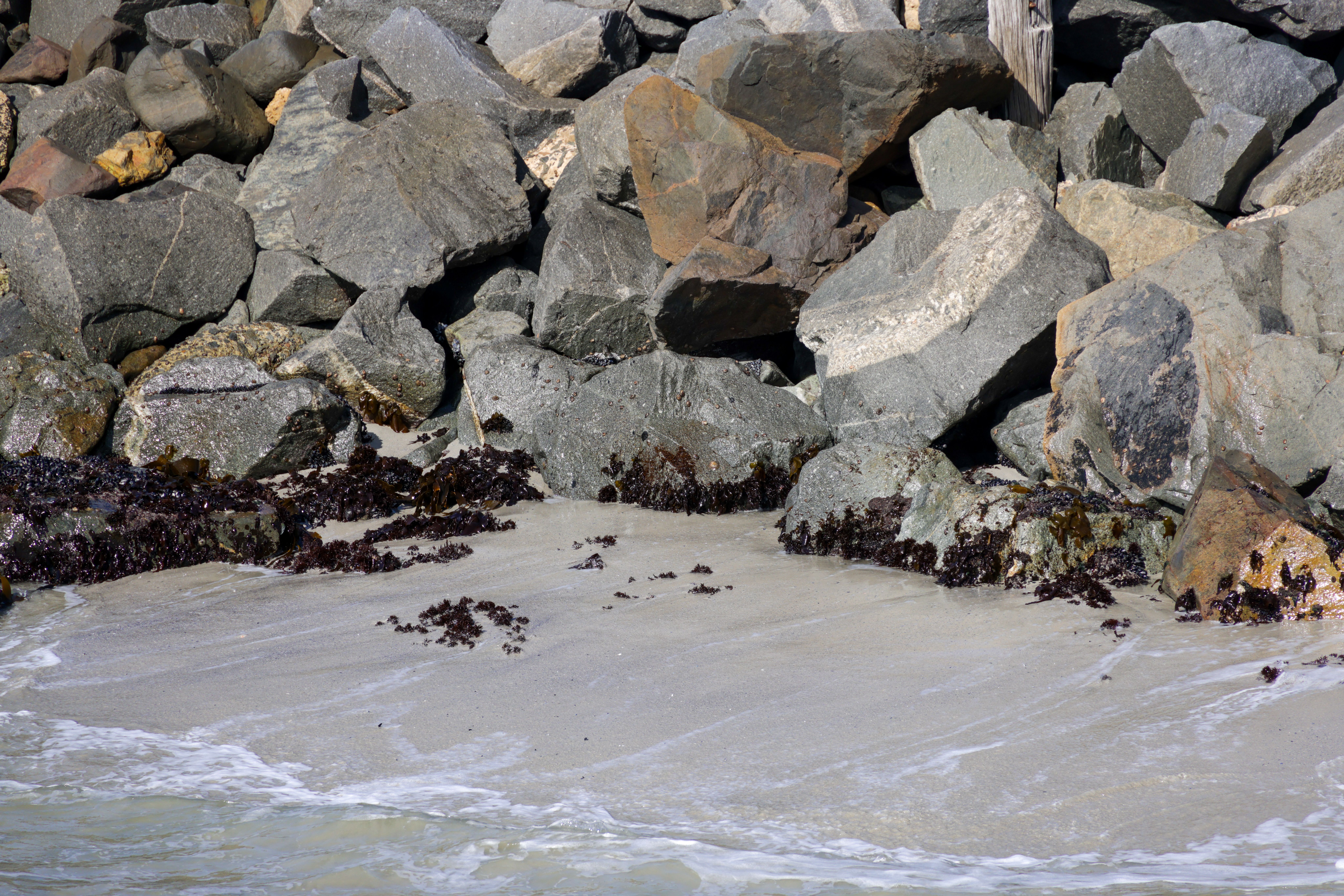 Best HD Pictures about  Tides On West Cheyenne  with No AI Images