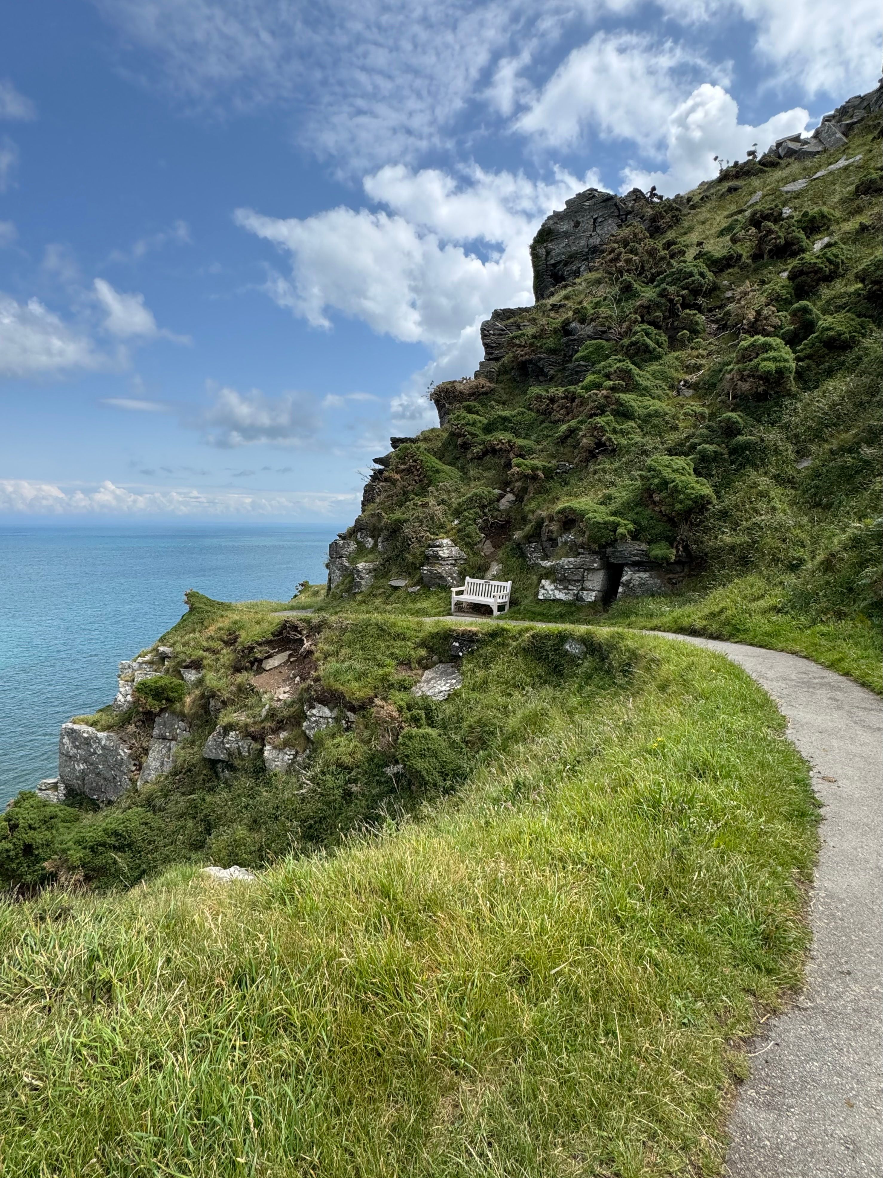 Scenic Cliffside Path with Ocean View · Free Stock Photo
