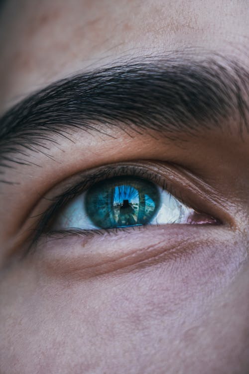 Free Human Eye Stock Photo