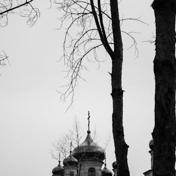 Black and white image capturing domed architecture framed by bare trees, creating a moody atmosphere.