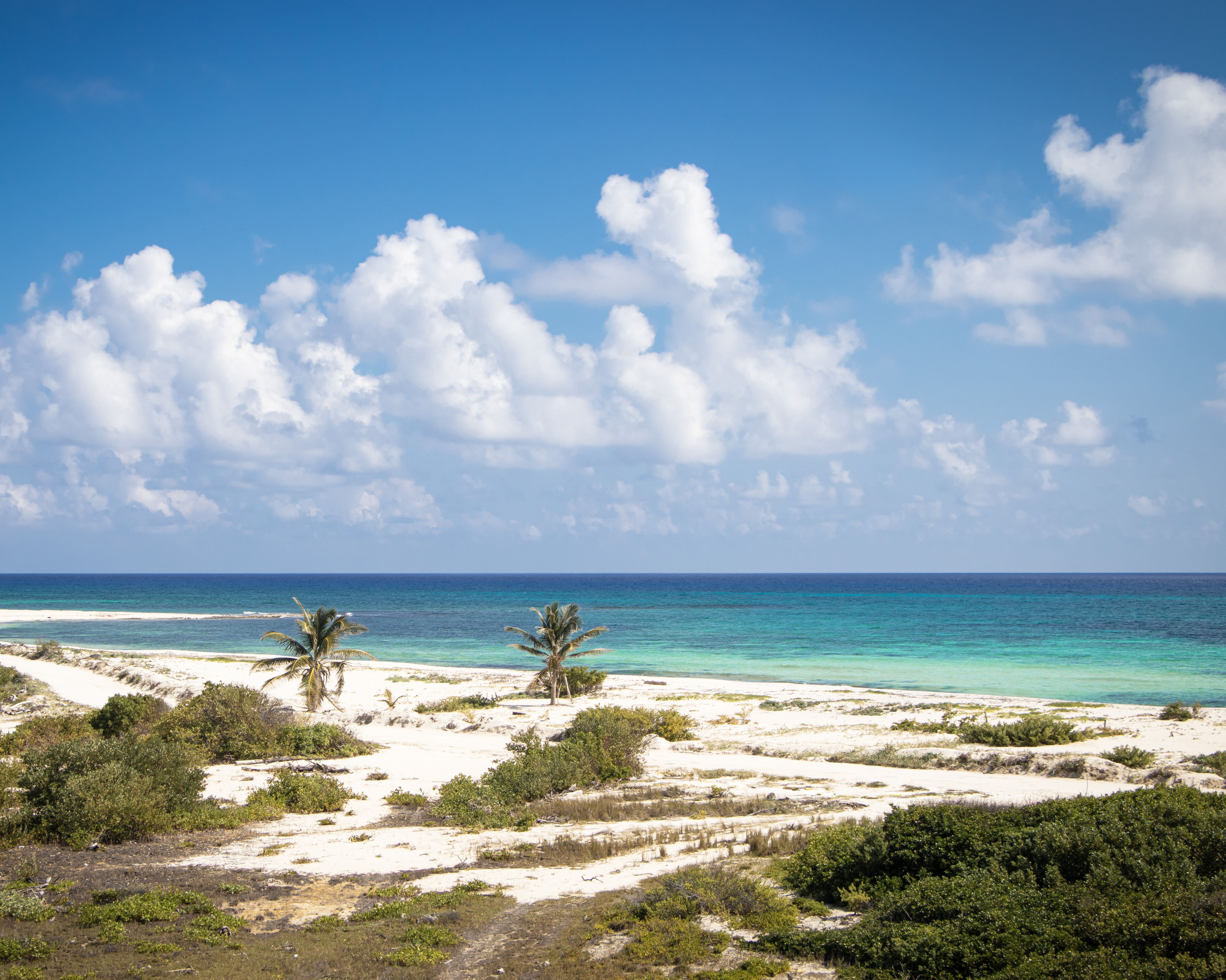 Plage déserte de Cozumel au Mexique avec une eau azur et un ciel dégagé