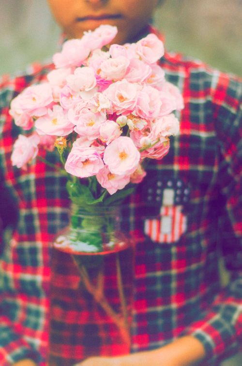Free pink wild flowers Stock Photo