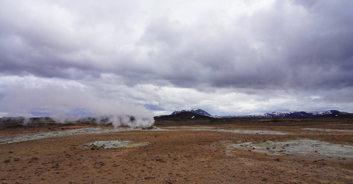 06 17牡羊座每日星座運勢|勇敢前行 掌握今日能量