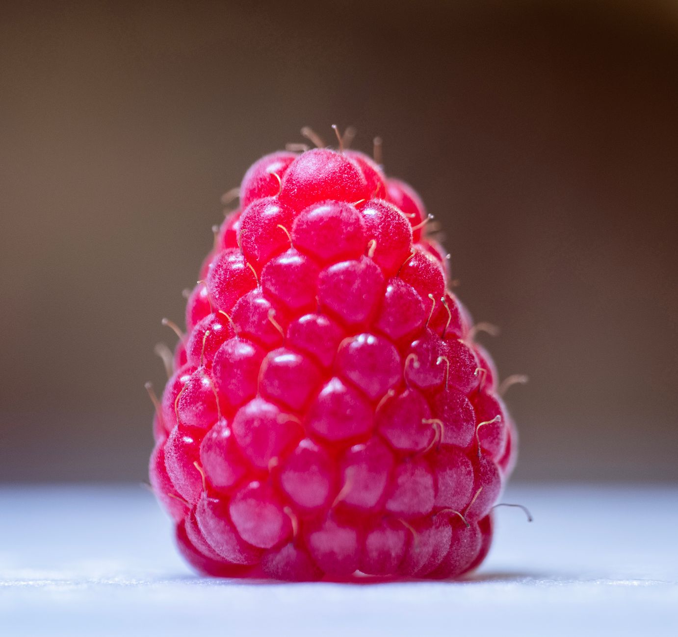 Popping Raspberry Seeds How to Get Seeds Out of Raspberries? - Chef's Resource