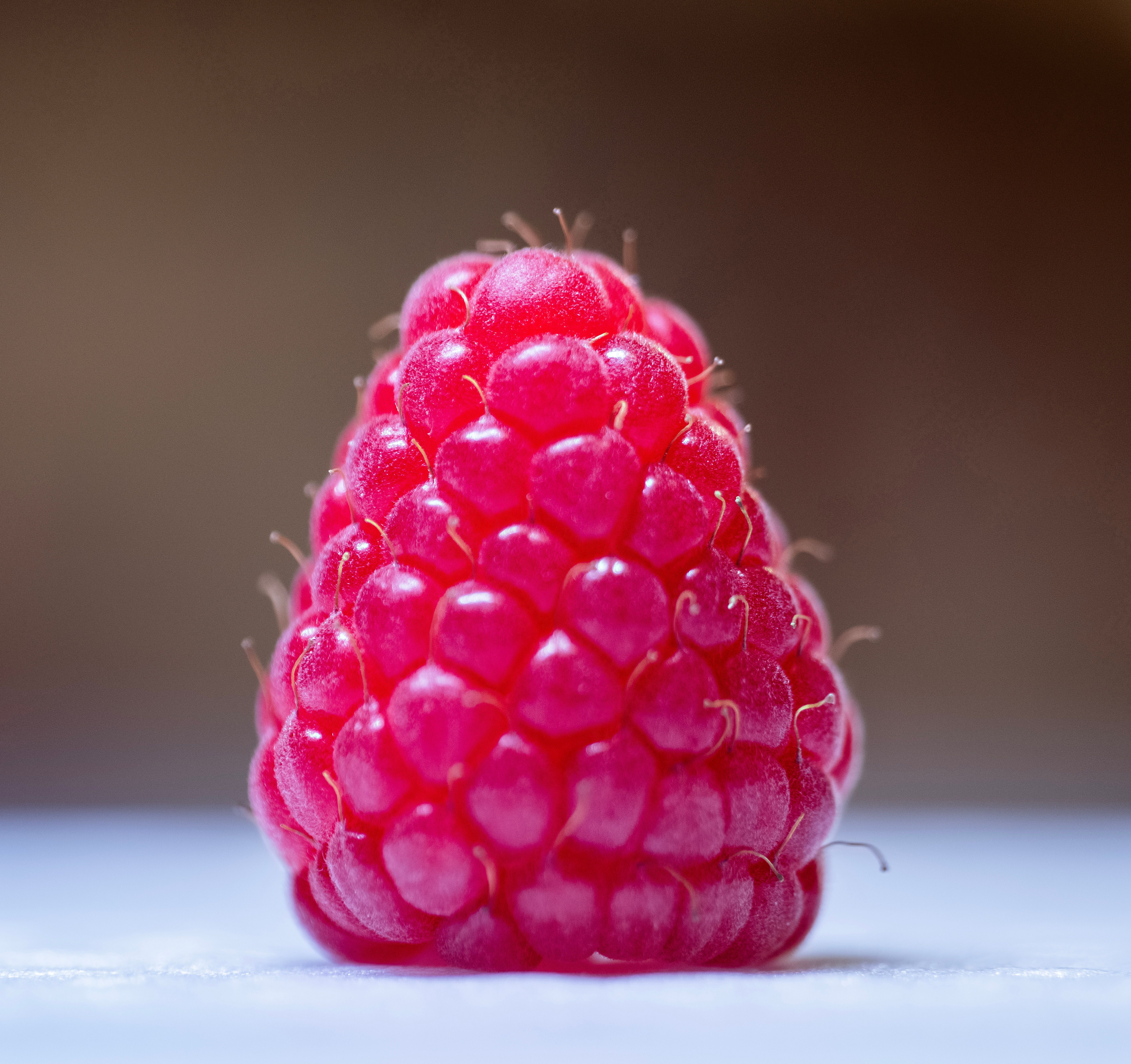 Close-Up of Fresh Juicy Raspberry Fruit · Free Stock Photo